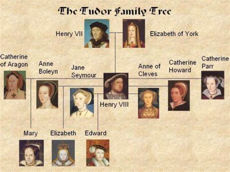 maria tudor genzano|mary tudor family tree.